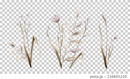 Set of watercolor fantasy botanical illustration branches and light purple flowers. Lilac circle floral illustration. Fall vibes. Hand painted drawing isolated on background. floral herds pastel color Set of watercolor fantasy botanical illustration branches and light purple flowers. Lilac circle floral illustration. Fall vibes. Hand painted drawing isolated on background. floral herds pastel color 116605220