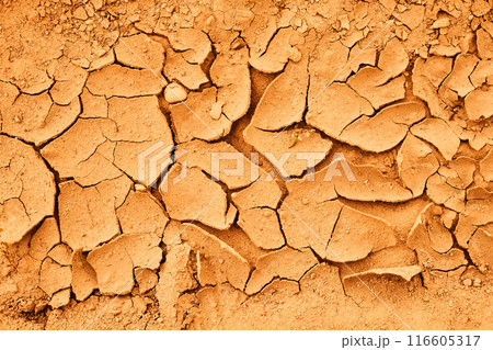 Cracked Earth. An arid landscape with cracked, dry earth patterns in a warm orange hue. 116605317