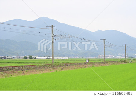 筑肥線 筑前深江ー一貴山 JR九州 筑肥線 筑前深江ー一貴山 JR九州 116605493