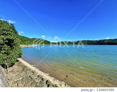 青空と塩屋湾 青空と塩屋湾 116605560