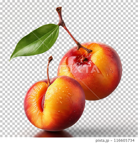 Juicy nectarines spinning smooth skin glistening pit midair Prunus persica var nucipersica Food and Culinary 116605734
