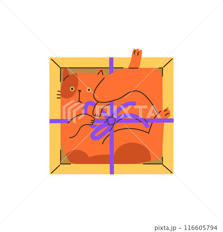 Cute ginger cat lies inside in gift box decorated with bow, vector funny hiding kitten, cartoon fluffy pet above view Cute ginger cat lies inside in gift box decorated with bow, vector funny hiding kitten, cartoon fluffy pet above view 116605794