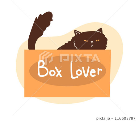 Cute grumpy black cat playing and sitting in cardboard box, inscription Box lover, vector funny hiding fluffy pet kitten 116605797