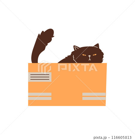 Cute grumpy black cat playing and sitting in cardboard box, vector flat funny hiding kitten, cartoon fluffy pet animal 116605813