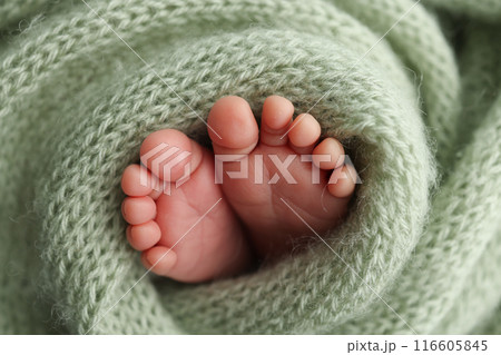 The tiny foot of a newborn. Soft feet of a newborn in a olive green woolen blanket. Close up of toes, heels and feet of a newborn baby. Studio Macro photography. Woman's happiness. The tiny foot of a newborn. Soft feet of a newborn in a olive green woolen blanket. Close up of toes, heels and feet of a newborn baby. Studio Macro photography. Woman's happiness. 116605845
