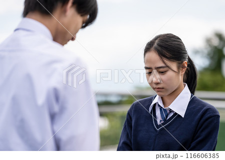 高校生のポートレート 116606385
