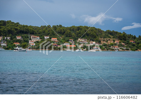Shore in the bay of Uvala Gradina near the town of Vela Luka on the island of Korcula in Croatia 116606482