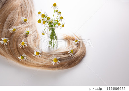 Fresh chamomile flowers and hair on the white background. Hair treatment concept. Close up 116606483