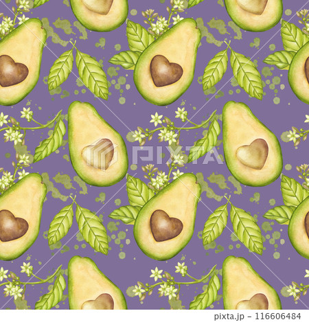 Avocado seamless pattern, fruit half with seed heart shaped, green leaves, flowers. Vegetable botanical clipart. Vegan dietary food painting. Hand drawn watercolor illustration purple background Avocado seamless pattern, fruit half with seed heart shaped, green leaves, flowers. Vegetable botanical clipart. Vegan dietary food painting. Hand drawn watercolor illustration purple background 116606484