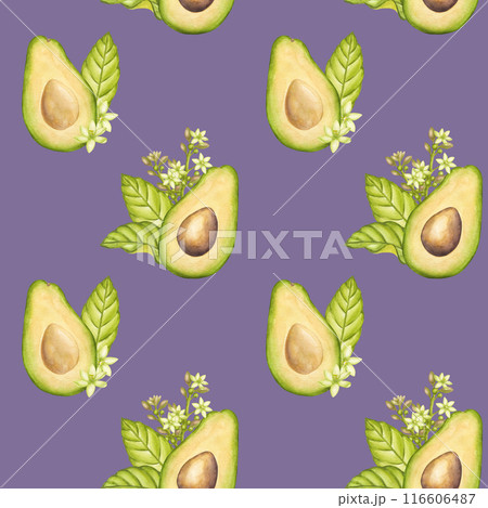 Avocado seamless pattern, fruit half with seed, green leaves, flowers. Vegetable botanical clipart. Vegan dietary food painting. Hand drawn watercolor illustration purple background. Fabric, textiles 116606487