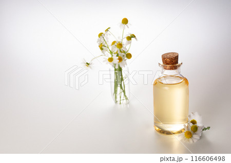 Fresh chamomile flowers and bottle with chamomile essential oil on white background. Hair treatment concept. Close up 116606498
