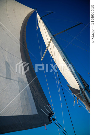 Sails of a sailing yacht in the wind sailing on the sea at sun light Sails of a sailing yacht in the wind sailing on the sea at sun light 116606519