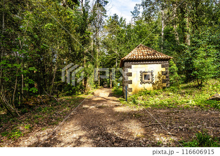 Calvary chapel in the way to the cross, via crucis, trail on ancient forest of Bussaco, in Luso, Aveiro in Portugal. 116606915