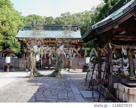 伊賀八幡宮、茅の輪くぐり 伊賀八幡宮、茅の輪くぐり 116607035
