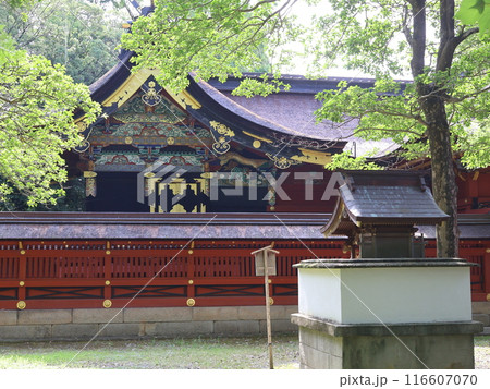 伊賀八幡宮、本殿の豪華な装飾 伊賀八幡宮、本殿の豪華な装飾 116607070