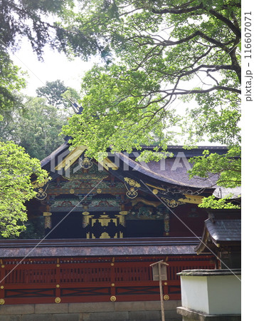 伊賀八幡宮、本殿の豪華な装飾 伊賀八幡宮、本殿の豪華な装飾 116607071