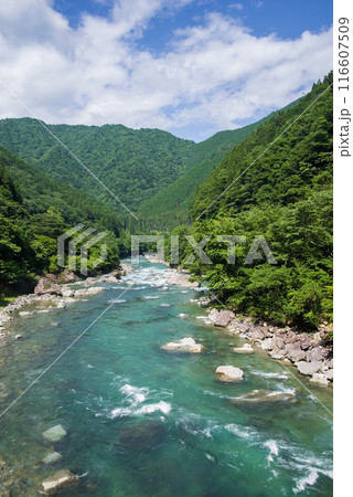 《夏山と清流》馬瀬川上流・岐阜県 116607509