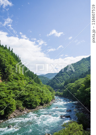 《夏山と清流》馬瀬川上流・岐阜県 116607519