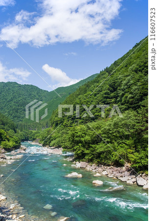 《夏山と清流》馬瀬川上流・岐阜県 116607523