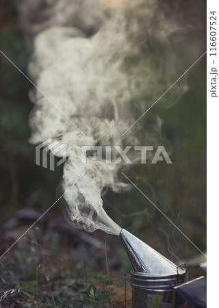 Beekeeper is working with bees and beehives on the apiary. 116607524