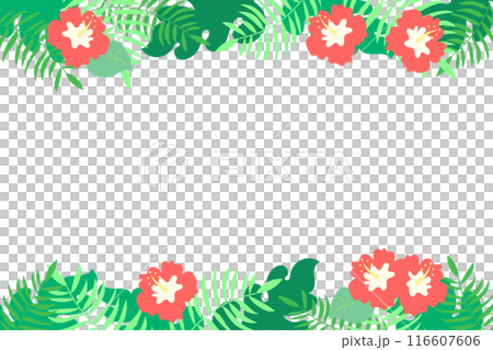 Tropical vector frame Tropical vector frame 116607606