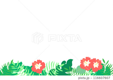 ハイビスカスの装飾フレーム ハイビスカスの装飾フレーム 116607607