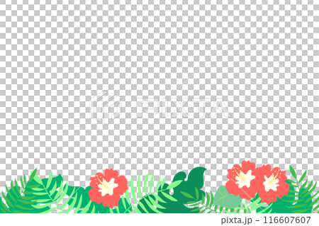 ハイビスカスの装飾フレーム ハイビスカスの装飾フレーム 116607607