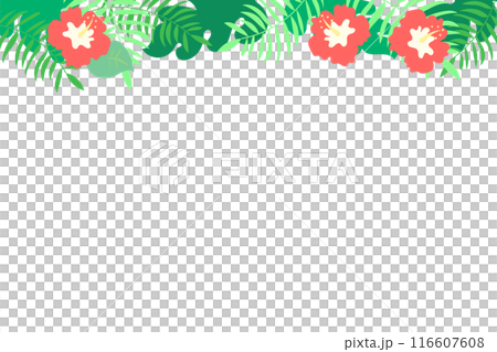 Tropical ornamental frame background Tropical ornamental frame background 116607608