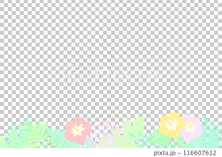 熱帶背景材料 熱帶背景材料 116607612