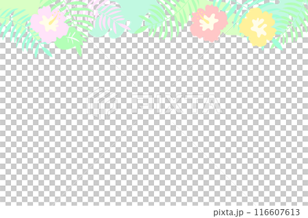 熱帶向量圖框架背景 熱帶向量圖框架背景 116607613