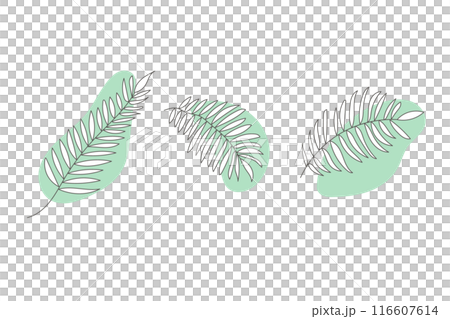 熱帶樹葉插畫素材 熱帶樹葉插畫素材 116607614
