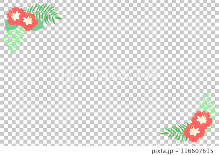 木槿花裝飾框 木槿花裝飾框 116607615