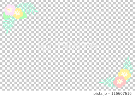 木槿花裝飾框 木槿花裝飾框 116607616