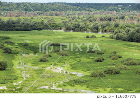 Natural landscape from bird's-eye view. Beautiful panorama Natural landscape from bird's-eye view. Beautiful panorama 116607779