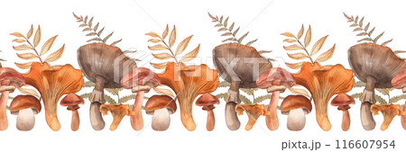 Mushroom champignons chanterelles fern rowan branch fly agaric brown yellow orange, seamless pattern, hand-drawn watercolor illustration on a white background. For the design of autumn holidays cards. 116607954