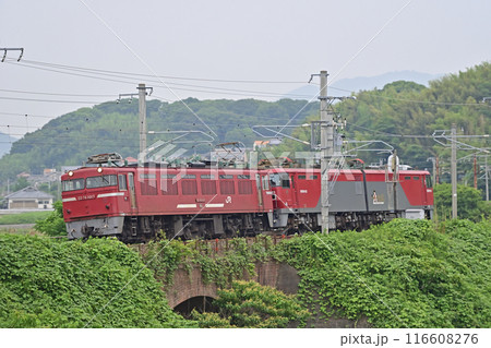 鹿児島本線 東郷-東福間 JR貨物 ED76-1017(門司)+EH500-23(仙台) 鹿児島本線 東郷-東福間 JR貨物 ED76-1017(門司)+EH500-23(仙台) 116608276