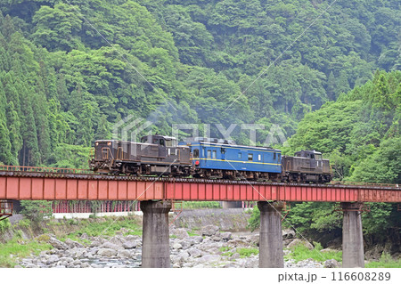 九大本線　天ケ瀬－杉河内　JR九州　DE10-1756+マヤ34-2009＋DE10-1638 116608289