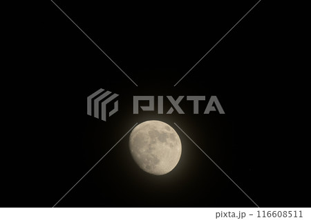 薄いベールのような雲がかかった月齢12.0の皐月の月 116608511
