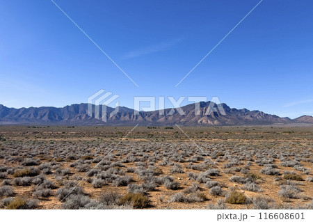 Mountains in the Australian Outback 116608601
