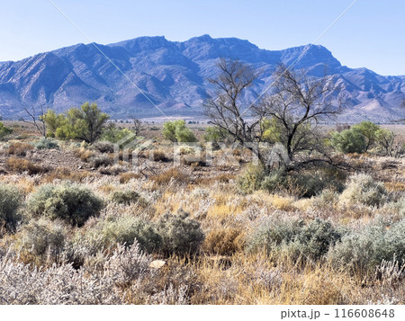 Mountains in the Australian Outback 116608648