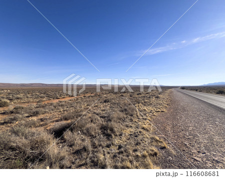 Endless Road through Australian Outback Endless Road through Australian Outback 116608681
