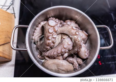 From above of whole raw octopus boiling in pot on modern black induction cooker From above of whole raw octopus boiling in pot on modern black induction cooker 116608871