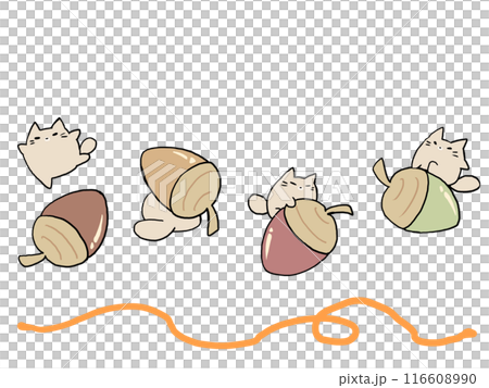 Acorn rolling cat Acorn rolling cat 116608990