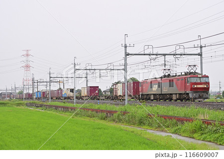 東北本線 東鷲宮ー栗橋 JR貨物 EH500-57(仙台) 東北本線 東鷲宮ー栗橋 JR貨物 EH500-57(仙台) 116609007