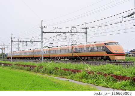 東北本線　東鷲宮ー栗橋　東武鉄道　100系　106F　スペーシア　日光詣 116609009