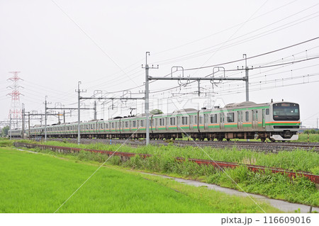 東北本線　東鷲宮ー栗橋　JR東日本　E231系1000番台　S-13編成（国府津） 116609016