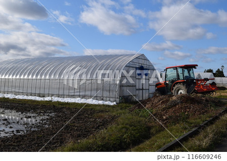 農業用ビニールハウス 116609246