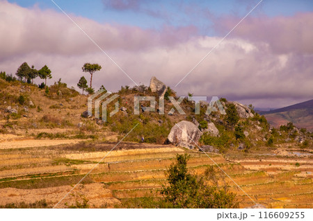 Madagascar life along roads. 116609255