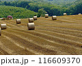 麦稈ロール 116609370
