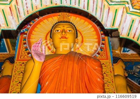 figures depicting entire history Buddha, starting from birth. 116609519